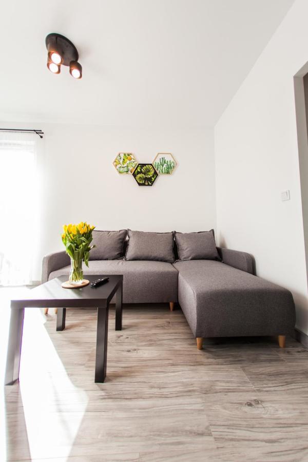 Sloneczna Apartamenty คาโตวีตเซ ภายนอก รูปภาพ